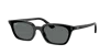 Ray Ban Ray In Dark Grey Polar