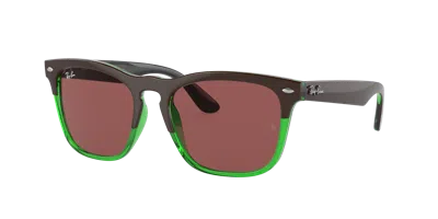 Ray Ban Ray In Green