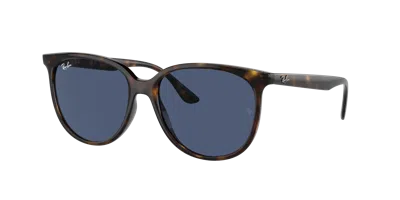 Ray Ban Ray In Havana