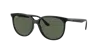 Ray Ban Ray In Dunkelgrün