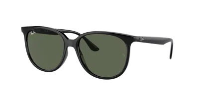 Ray Ban Ray In Dunkelgrün
