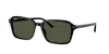 Ray Ban Ray In G-15 Green