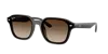 Ray Ban Ray In Gradient Brown