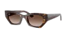 Ray Ban Ray In Gradient Brown