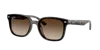 Ray Ban Ray In Gradient Brown