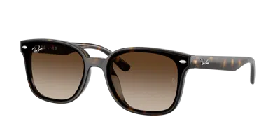 Ray Ban Ray In Gradient Brown