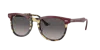 Ray Ban Ray In Grau