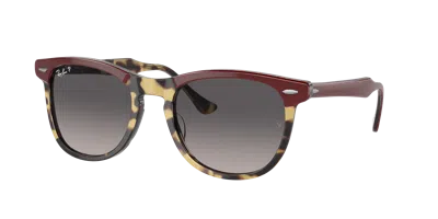 Ray Ban Ray In Bordeaux On Yellow Havana