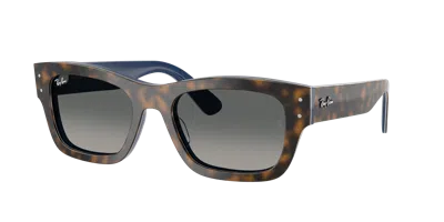 Ray Ban Ray In Gray