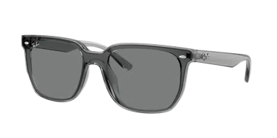Ray Ban Ray In Gray