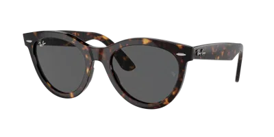 Ray Ban Ray In Brown