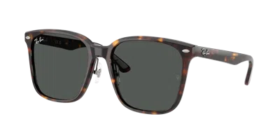 Ray Ban Ray In Brown