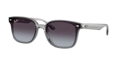 Ray Ban Ray In Brown