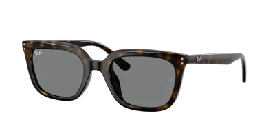 Ray Ban Ray In Gray