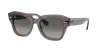 Ray Ban Ray In Gray