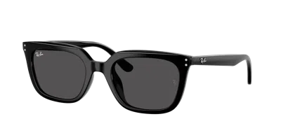 Ray Ban Ray In Black