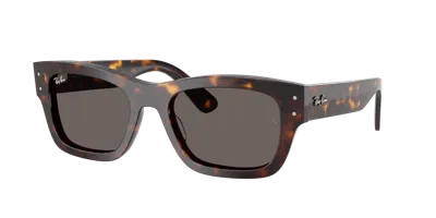 Ray Ban Ray In Brown