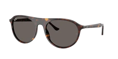 Ray Ban Ray In Gray