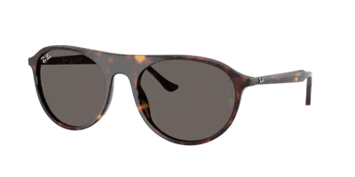RAY BAN RAY