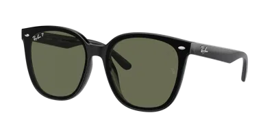 Ray Ban Ray In Brown