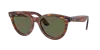 Ray Ban Ray In Green