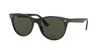 Ray Ban Ray In Green Classic G-15