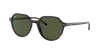 Ray Ban Thalia Sunglasses Tortoise Frame Green Lenses 53-18 In Green Classic G-15