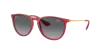 Ray Ban Ray In Grey