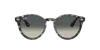Ray Ban Ray In Grey