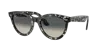 Ray Ban Ray In Grey