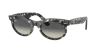 Ray Ban Ray In Grey