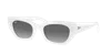 Ray Ban Zena Bio-based Sonnenbrillen White Snow Fassung Grau Glas 52-22 In Grey