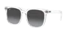 Ray Ban Ray In Grey