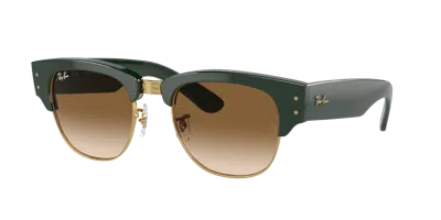 Ray Ban Ray In Hellbraun
