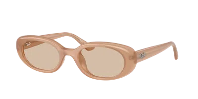 Ray Ban Ray In Light Brown