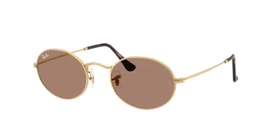 Ray Ban Ray In Light Violet