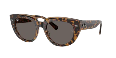 Ray Ban Ray In Multi