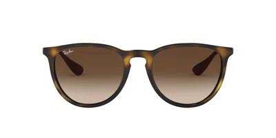 Ray Ban Ray In Multi