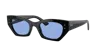 Ray Ban Ray In Photochromic Blue To Dark Blue