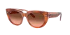 Ray Ban Doreen Sunglasses Red Havana On Transparent Multicolor Frame Pink Lenses 52-20 In Pink Gradient Brown