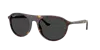 Ray Ban Ray In Polar Black