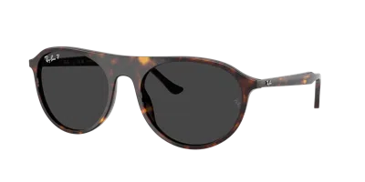 Ray Ban Ray In Brown