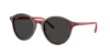 Ray Ban Ray In Polar Black