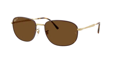 Ray Ban Ray In Brown