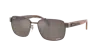 Ray Ban Ray In Polar Brown