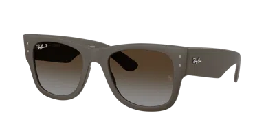 Ray Ban Ray In Polar Brown Gradient
