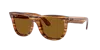 Ray Ban Ray In Polar Dark Brown