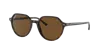 Ray Ban Ray In Polarized Brown Classic B-15