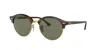 Ray Ban Ray In Polarized Green Classic G-15