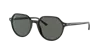 Ray Ban Ray In Polarized Green Classic G-15